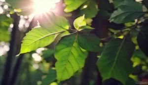 Water-Based Purifier Air Washer Air Revitalizer & Freshener Air Fresher with 7 LED Color Changing Light for Rooms (Black)