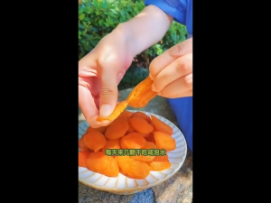 Dried loquats(dry) Bamboo Salt Dried Loquat 500g