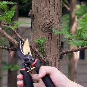 กรรไกรแต่งกิ่ง กรรไกรสแตนเลส ที่ตัดกิ่งไม้ กรรไกรตัดกิ่งไม้ กรรไกรทำสวนทำจากเหล็ก SK5 ตัดกิ่งไม้ได้อย่างง่ายดาย ตัดกิ่งขนาด 22 mm กรรไกรสำหรับตัดแต่งกิ่งไม้ ดอกไม้ เครื่องมือจัดทำสวน เบาแรงกด ตัดง่าย คมและทนทาน คม ทน ใช้งานได้จริง ใช้งานได้นาน