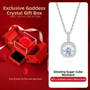 GLTEN | Silver Moissanite Necklace 1 Carat
