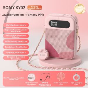 soaiy | Teachers Wireless Microphone Amplifier