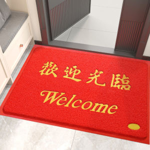 MOLORE | Dust Removal Welcoming Door Mat