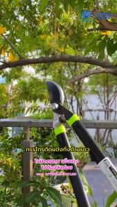 กรรไกรตัดหญ้า ตกแต่งหญ้ารั้วไม้ ทำสวน ขนาด 21 นิ้ว 540mm เพรสคอตต์ (Prescott)