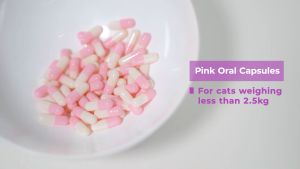 BASMI FIP™ Oral Capsules GS-441524 For Cats Less than 2.5kg Each Pack Contains 30 Oral Capsules