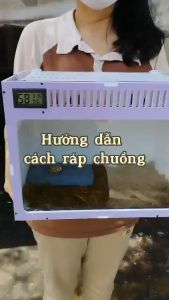 Chuồng nuôi bò sát rắn ếch pacman rùa ốc mượn hồn