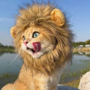 Lion Mane Wig & Pet Costumes: Fun & Unique Outfits for Your Furry Friends
