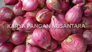 BAWANG MERAH SEGAR BRAMBANG KUALITAS SUPER FRESH