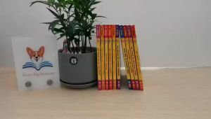 Geronimo Stilton Series: A Complete Guide to Children's Gifts & Entertainment