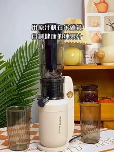 X2000 250W multi-functional slow juicer high yield nutrient reserving Smart filter easy clean
