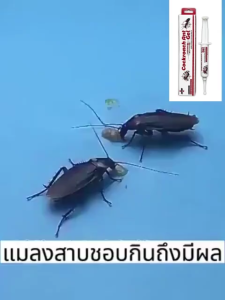 🪳แมลงสาบตายทั้งรัง🪳เจลกำจัดแมลงสาบ เจลฆ่าแมลงสาบ ยากำจัดแมลงสาบ ยาฆ่าแมลงสาบ กำจัดแมลงสาบ ผงกำจัดแมลง เจลแมลงสาป