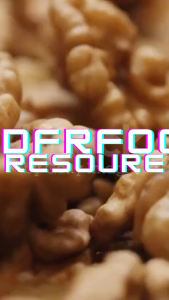 DFR Premium Walnut Kernels – Fresh Crunchy & Nutrient-Rich