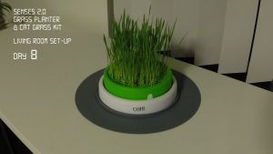 Catit Sense 2.0 Grass Planter Bowl (Not Include Seed & Vermiculite)