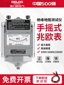Delixi Shaking Watch 500V MEGOHMMETER 1000V Insulation Resistance Detector 2500V Electrician Ohmmeter Zc25-3