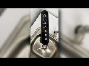 (JAKIM HALAL) Pureal PPU 200 Undersink Water Filter with Instant Hot Tap