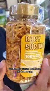 Makanan Baby Shrimp Kuning Udang Kering Naikan Corak Kuning Untuk Channa dan Ikan Lainnya IKANESIA