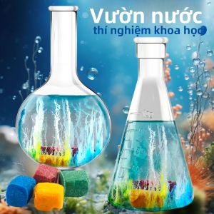 Đồ Chơi Thí Nghiệm Khoa Học Đá Phát Triển Kỳ Diệu Mini Tự Làm Dành Cho Trẻ Em Quà Tặng Hoạt Động Giáo Dục Cho Giáng Sinh Halloween Lễ Tạ Ơn Phục Sinh Năm Mới