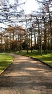 MHS 100 ml MINYAK HERBA SINERGI / MINYAK BUT BUT HNI HPAI