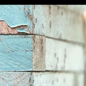 เหยื่อกำจัดมด Ares Antout กำจัดมดได้ถึงรัง  กำจัดมดแบบยกรัง (ขนาดบรรจุ 40 กรัม) ปริมาณสุดคุ้ม