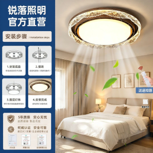 RUILUO | Retro Style Eye-protecting Quiet LED Ceiling Light