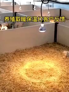240V Infra Red Heat Lamp Poultry Brooder Chicks Waterproof Hatching Puppies Piglet Bulb