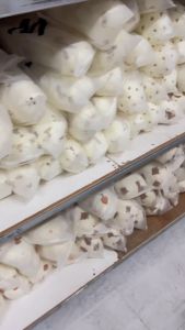 หมอนข้างดันหลังสำหรับเด็ก 0-1 ปี รุ่นผ้าย่น(ขนาด36x44cm)