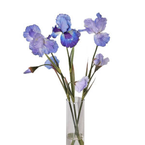 ดอกไอริสเทียม3หัวดอกไม้ตกแต่งไอริสไหมอลิซตกแต่งงานแต่งงานภายในบ้าน