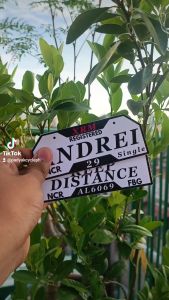 Customized Bike Plate Bicycle Plate Sintra Board 3mm