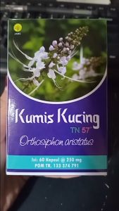 Kapsul Kumis Kucing Toga Nusantara 60 kapsul