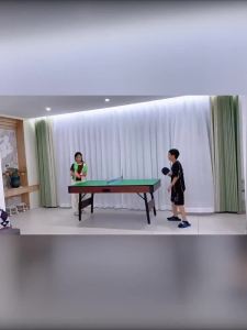 Multifunctional Pool Table Home Billiard Pool Table Indoor For Kids Snooker Table Indoor Table Tennis Table Multifunctional Pool Table 台球桌