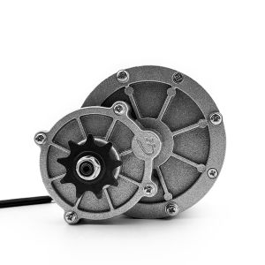 24V 36V 450W 16 Teeth Freewheel Electric Brushed 9T Rare-Earth Permanent Magnet DC Gear Bike Motor
