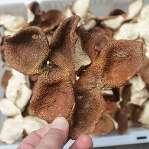 Authentic Guangdong Speciality Newui Old Tree Chinesepineapple Peels Genuine Traditional Snack Dried Fruit Skin Bagasse Tea