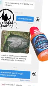 Esen Ikan Nila Liar Air Keruh - Esen Ikan Nila Babon Essen ikan nila media lumut Barracuda A1- COD