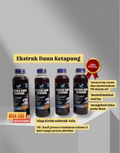 EKSTRAK DAUN KETAPANG LAUT OLAHAN 250ML KUALITAS PREMIUM PEKAT