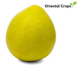 50 seeds suha pomelo binhi pantanim fruit plant