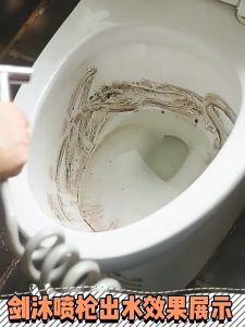 SUS 304 Stainless Steel Bathroom Bidet Spray Faucet with Bidet Spray Toilet Faucet Bathroom Faucet Stainless Steel