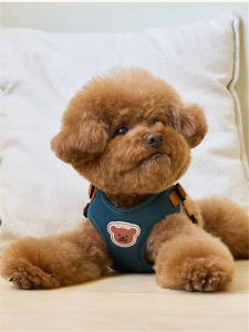 Adorable Printed Dog Leash Vest Style Pet Supplies for Small to Medium Dogs Cute Design Ideal for Walking Your Dog