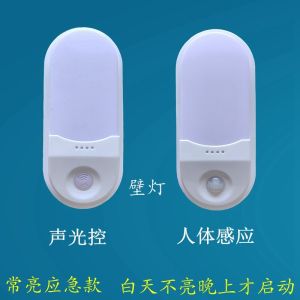 LED Intelligent Infrared Human Body Sensor Wall Lamp: Stairs & Corridor Lighting