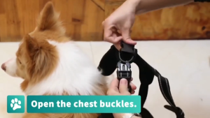 Tactical Y-Shape Harness for Large/Aggressive Dogs - No-Pull Heavy-Duty Leash Included