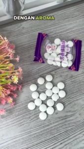 KUKE Kamper Kapur Barus Putih Kecil Penghilang Pengusir Serangga Pengharum Ruangan Toilet Lemari Anti Lembab Anti Bau Serbaguna