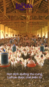 LaPaw Hạt dinh dưỡng chuyên biệt dành cho chó kiểm soát cân nặng túi 15KG