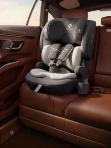 bebelock | Portable Easy-to-Use Child Safety Seat