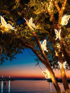 No Brand | Colorful LED Dynamic Attractive Courtyard Atmosphere Light