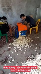 Máy thái khoai lang củ sắn