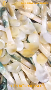 Thìa muỗng cà phê bằng vỏ xà cừ gắn ốc biển HAHANCO (CTH739)