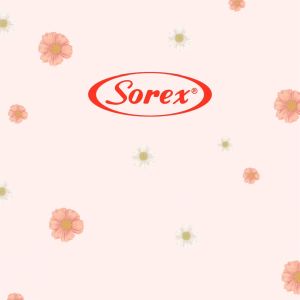 SOREX CD 4067 SEAMLESS HOTPANTS - CELANA DALAM WANITA