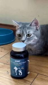 Viên Dầu Cá Kamt Bổ Sung Omega 3 DHA EPA Giúp Mượt Lông Ngăn Ngừa Các Vấn Đề Về Da Cho Chó Mèo