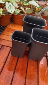 Thick Tall Square Plastic Pots succulent pot cactus flower pot