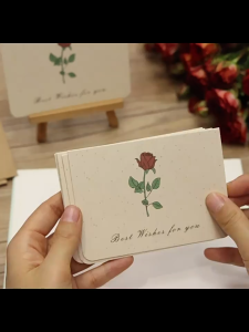 SG Specool® 6Pcs/set Minimalist Botanical Greeting Card Handwritten Foldable Teachers Day Greeting Cards