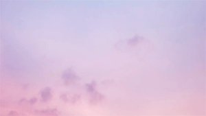 OPPO Reno13 Series OPPO Reno13 Pro / OPPO Reno13 5G Smartphone MTK  Dimensity 8350 6.83 inch AMOLED Ai Phone Oppo Reno 13 IP69 Waterproof 80W Fast Charging 5800mAh OPPO Phone Dual SIM OPPO Smart Phone