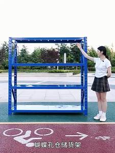 Warehouse Heavy Duty Multi-Level Storage Rack